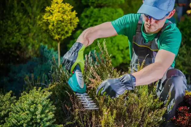 landscaping services Tekamah